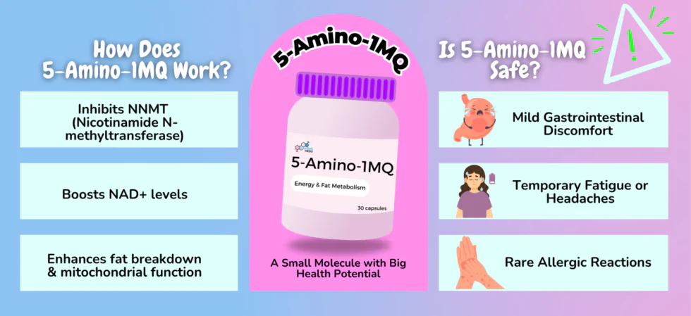 5-Amino-1MQ supplement bottle illustration highlighting its benefits, including inhibiting NNMT, boosting NAD+ levels, and enhancing fat metabolism, with safety notes on potential mild gastrointestinal discomfort and temporary fatigue.