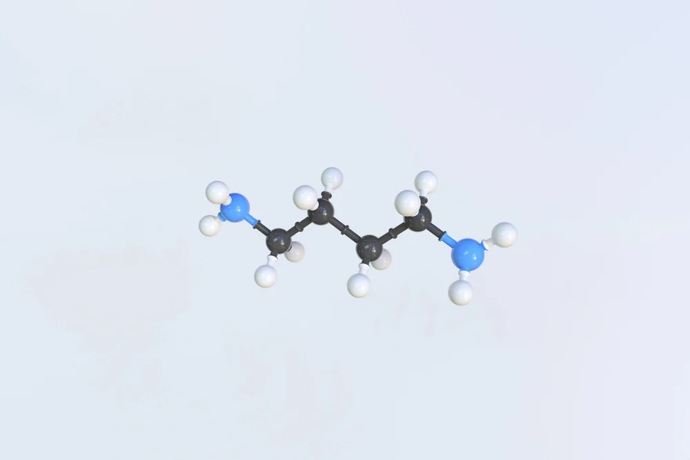 SS31 Peptide: Advantages And Buying Guide